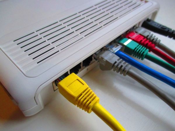 Web hosting